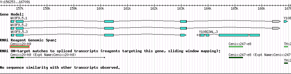 Gene Graph