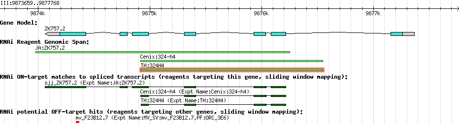 Gene Graph